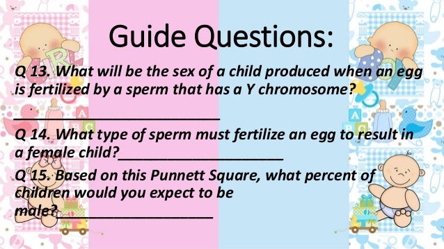 Determining chromosomes in sperm Totally free instant handjob vido